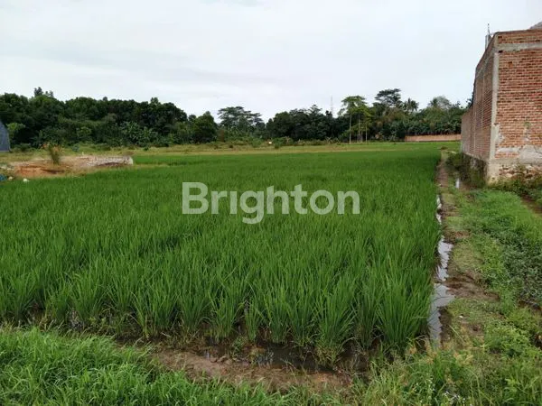 image TANAH 300 M² DI LINGSUH RAJABASA JAYA BANDAR LAMPUNG – HARGA TERJANGKAU! (2)