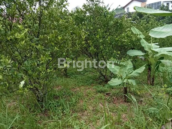 image TANAH SIAP BANGUN DEKAT AREA PERKOTAAN (1)