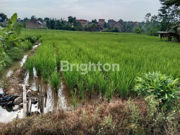 image TANAH MURAH DI RAJABASA, BANDAR LAMPUNG (2)