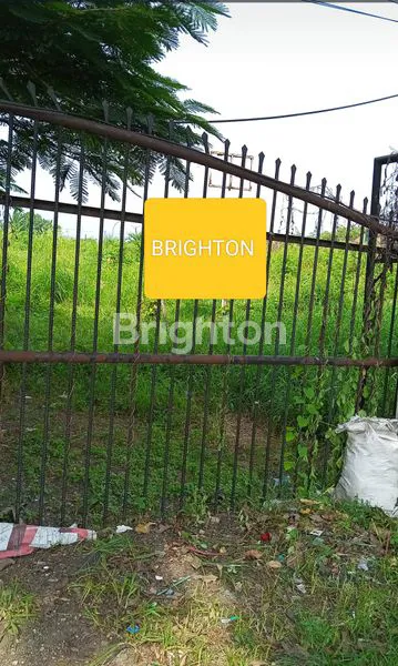 image BABAT JERAWAT PAKAL SURABAYA BARAT (1)