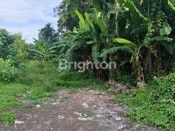 image DIJUAL CEPAT TANAH STRATEGIS – INVESTASI EMAS DI BADUNG \UD83D\UDD25 (2)