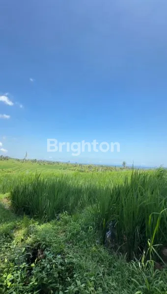 image TANAH VIEW SAWAH DIKAWASAN ANTOSARI TABANAN (4)