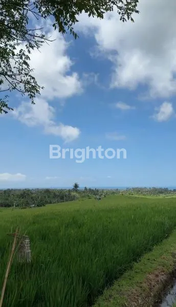 image TANAH VIEW SAWAH DIKAWASAN ANTOSARI TABANAN (5)