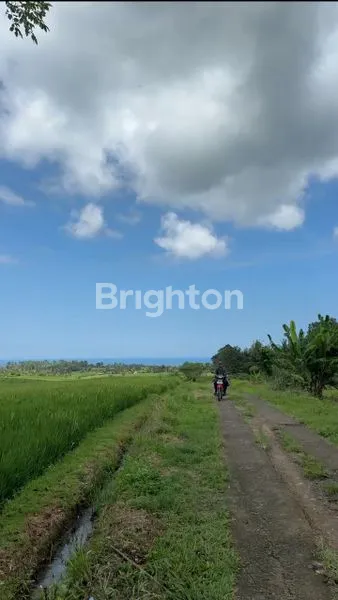 image TANAH VIEW SAWAH DIKAWASAN ANTOSARI TABANAN (1)