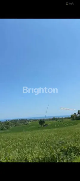 image TANAH VIEW SAWAH DIKAWASAN ANTOSARI TABANAN (6)