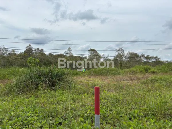 image TANAH SIAP BANGUN STRATEGIS PINGGIR JALAN LINGKAR SELATAN SUNGAI PINANG JAKABARING, LUAS TANAH 300M2, SHM, HARGA RP660JUTA NEGO (2)