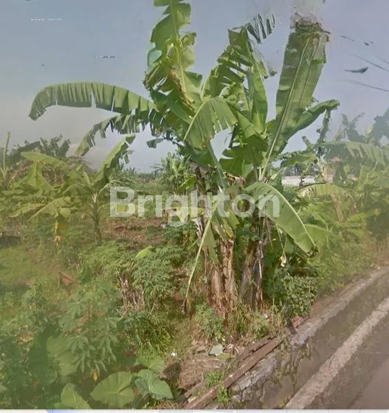 image PURWOKERTO - TANAH DI BERKOH (2)