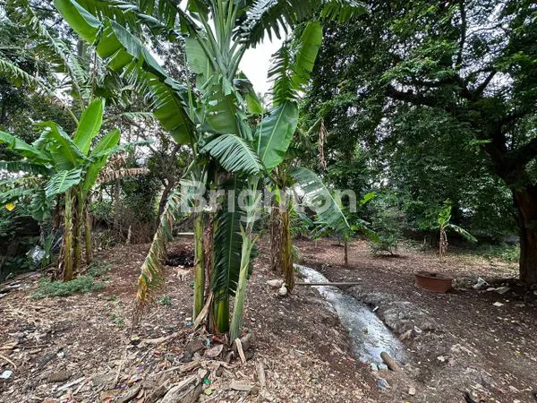 image RARE SIZE PROPERTY CILANDAK | LT 1.808 M² + RUMAH 2 LANTAI | INVESTASI STRATEGIS DI KAWASAN EKSKLUSIF (1)