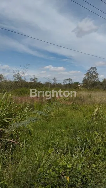 image TANAH SIAP BANGUN STRATEGIS PINGGIR JALAN LINGKAR SELATAN SUNGAI PINANG JAKABARING, LUAS TANAH 300M2, SHM, HARGA RP660JUTA NEGO (8)