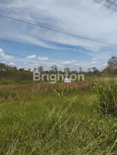 image TANAH SIAP BANGUN STRATEGIS PINGGIR JALAN LINGKAR SELATAN SUNGAI PINANG JAKABARING, LUAS TANAH 300M2, SHM, HARGA RP660JUTA NEGO (7)