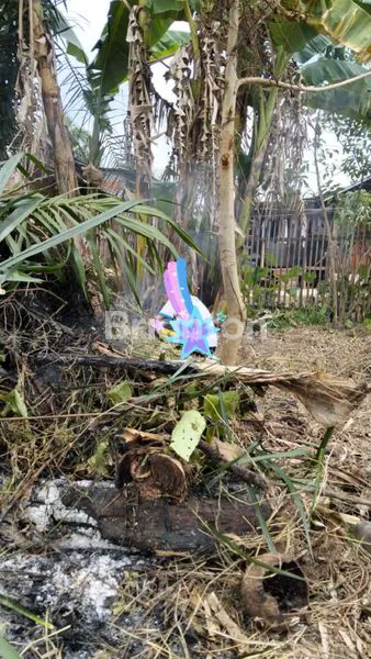 image TANAH TINGGI STRATEGIS SIAP BANGUN (4)