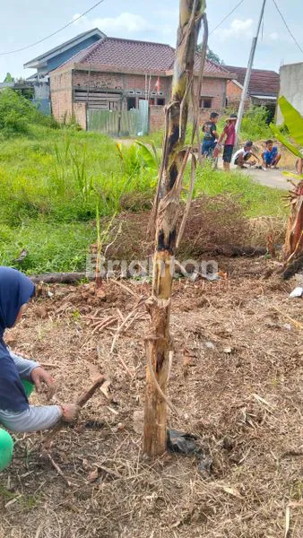 image TANAH TINGGI STRATEGIS SIAP BANGUN (2)