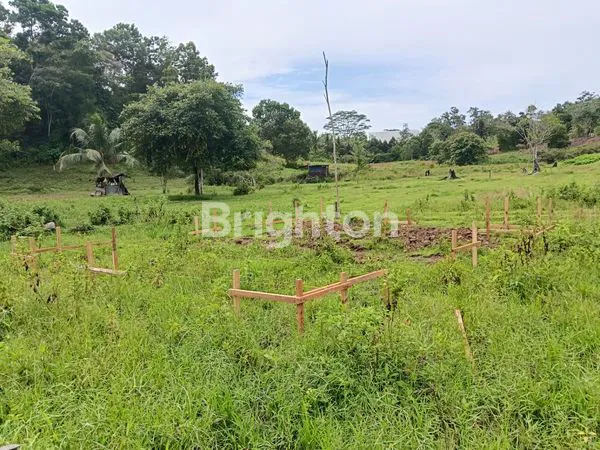 image MANGGAR 280 JUTA SAJA SHM (4)