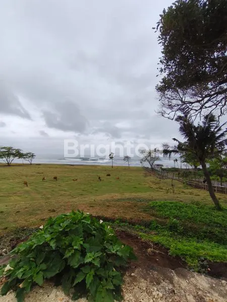 image TANAH KAVLING SABA, VIEW PANTAI, SHM FREEHOLD (4)