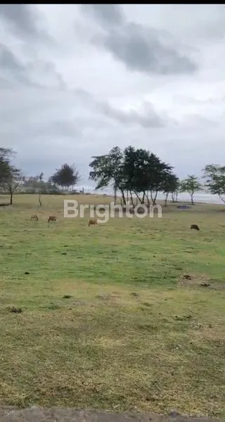 image TANAH KAVLING SABA, VIEW PANTAI, SHM FREEHOLD (7)