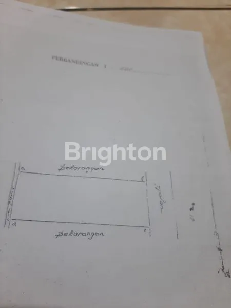 image RUKO DAN USAHANYA(FRIED CHICKEN POPULER) (4)