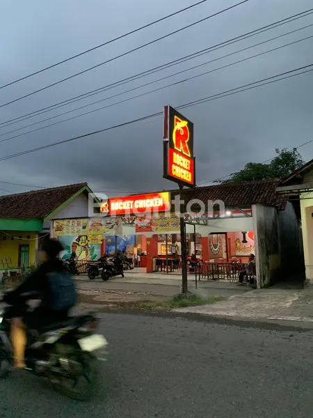 image RUKO DAN USAHANYA(FRIED CHICKEN POPULER) (1)