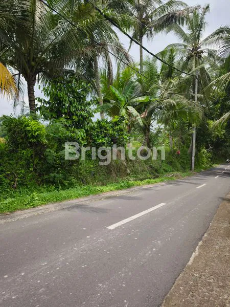 image INVESTASI EMAS TANAH 18 ARE PINGGIR JALAN TABANAN (3)