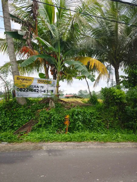 image INVESTASI EMAS TANAH 18 ARE PINGGIR JALAN TABANAN (1)