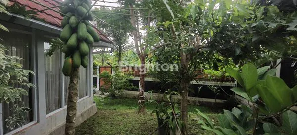 image DIJUAL RUMAH & TANAH STRATEGIS – PRAMBANAN  (5)
