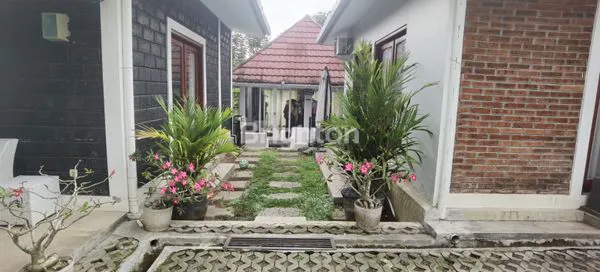 image DIJUAL RUMAH & TANAH STRATEGIS – PRAMBANAN  (3)