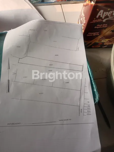 image TANAH DI JALAN PUCUK DAWAR BLANDONG MOJOKERTO  (2)