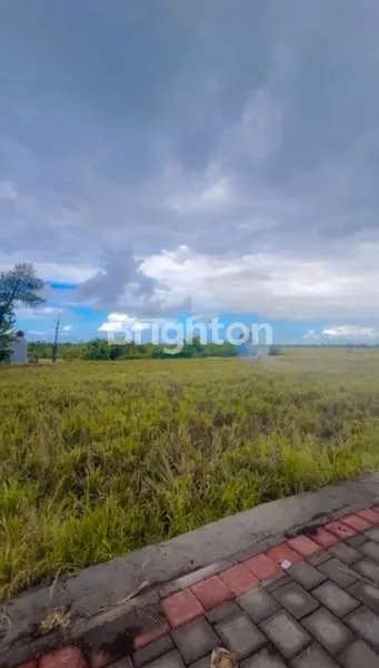 image TANAH KAVLING COCOK UNTUK AREA VILA CANGGU VIEW SAWAH YANG TENANG (4)