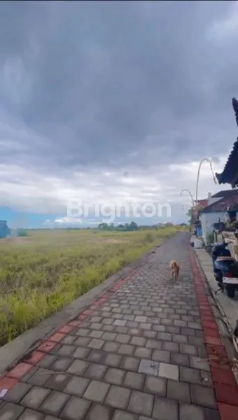 image TANAH KAVLING COCOK UNTUK AREA VILA CANGGU VIEW SAWAH YANG TENANG (3)