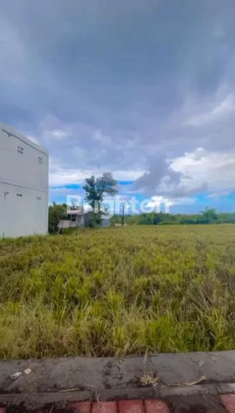 image TANAH KAVLING COCOK UNTUK AREA VILA CANGGU VIEW SAWAH YANG TENANG (5)