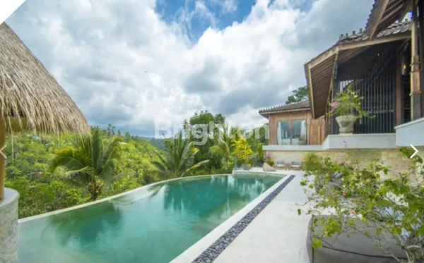 image DIJUAL VILLA - UBUD PAYANGAN (3)