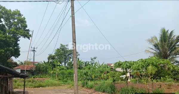 image INVESTASI TANAH 1,2 HEKTAR SHM DI JALAN RAYA JAMALI (4)