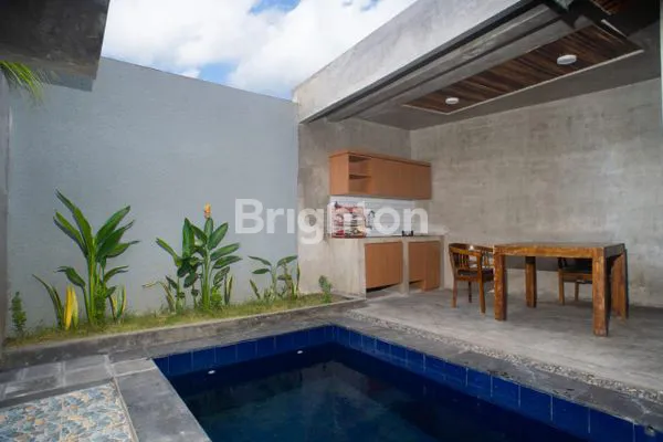 image DISEWAKAN VILLA MEWAH – TIBUBENENG, CANGGU  (1)