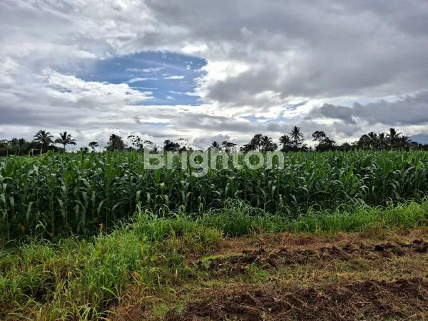 image TANAH DESA SITU UDIK KEC CIBUNG KAB BOGOR LT 6789M2/RP 350.000 NEGO (5)