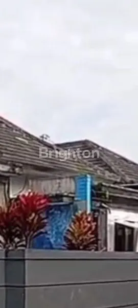 image RUMAH DI JUAL / DI SEWAKAN  (2)