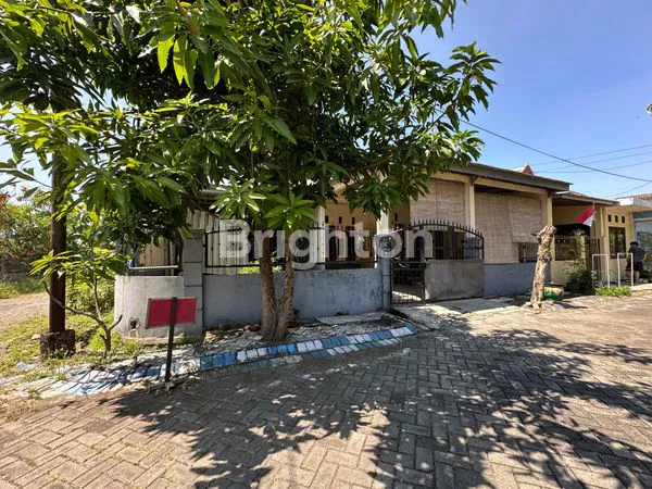 image RUMAH MINIMALIS SHM, HARGA NEGO DI SIDOARJO (1)