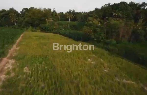 image TANAH DI TABANAN BALI AREA PINK ZONE (COMMERCIAL) (4)