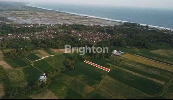 image TANAH DI TABANAN BALI AREA PINK ZONE (COMMERCIAL) (5)