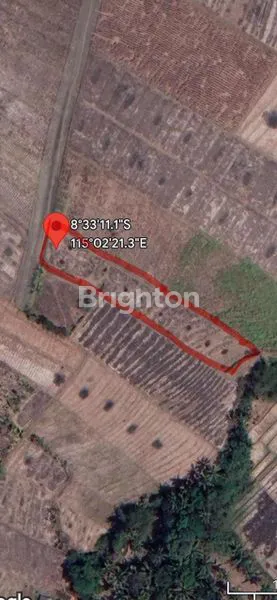 image TANAH DI TABANAN BALI AREA PINK ZONE (COMMERCIAL) (2)