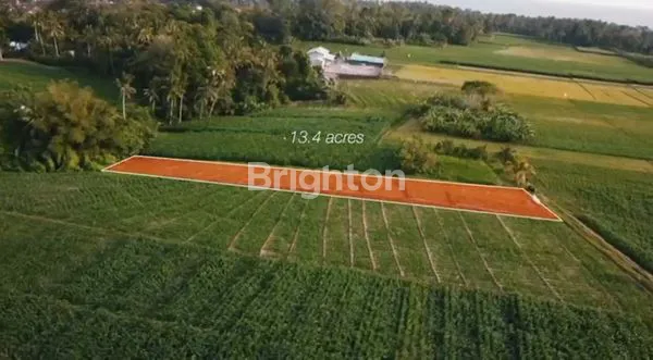 image TANAH DI TABANAN BALI AREA PINK ZONE (COMMERCIAL) (1)