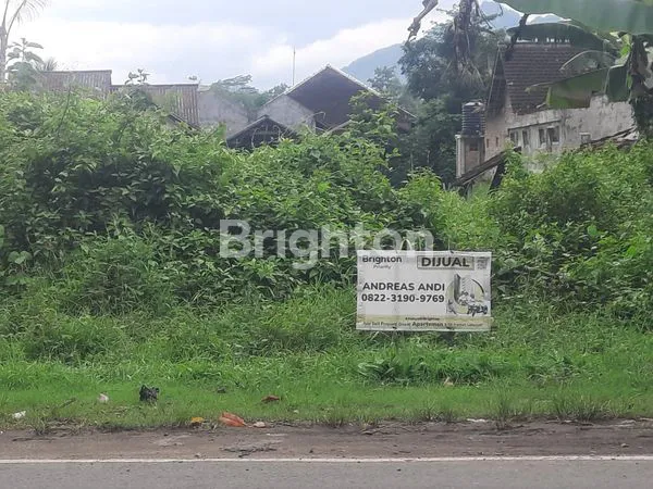 image DIJUAL TANAH LUAS TRENGGALEK.BISA NEGO . SIAP UNTUK DIBANGUN. (1)