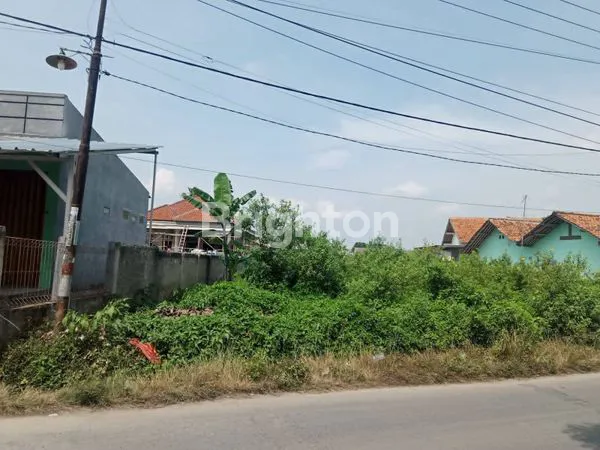 image LAHAN KOSONG CIBITUNG  (2)