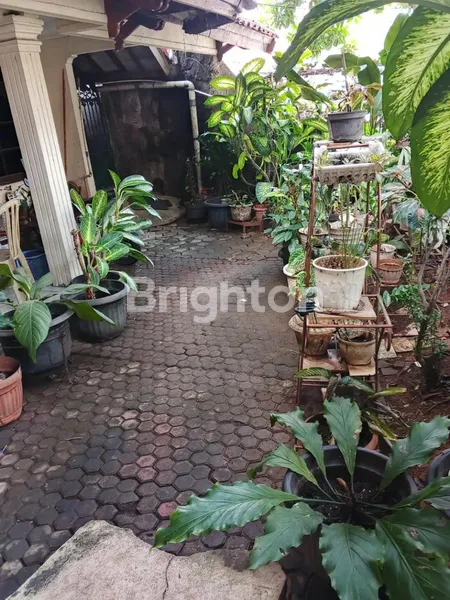 image JUAL RUMAH DAERAH KRAMAT JATI DENGAN LOKASI STRATEGIS (2)