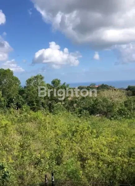 image TANAH PREMIUM DI BUKIT BALANGAN, VIEW PANORAMIK (2)