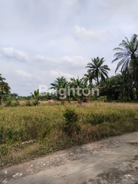 image INVESTASI TANAH 2 HEKTAR, COCOK UNTUK PERUMAHAN & BISNIS (3)