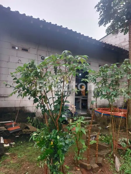 image RUMAH MINIMALIS SIAP HUNI DI NANGERANG, LT 109M² (7)