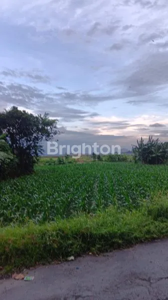 image TANAH 2100 M2 PANTAI PADANG GALAK OCEAN VIEW DI SANUR BALI (1)