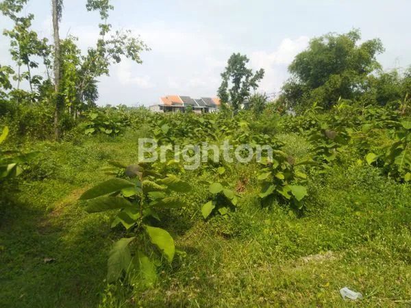 image LAHAN STRATEGIS 1.190M², COCOK UNTUK PERUMAHAN KOMERSIAL (1)