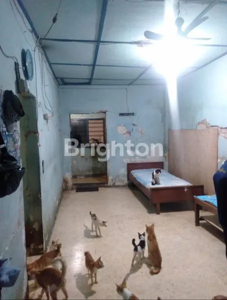 image DIJUAL RUKO SIAP PAKAI TEMPAT USAHA DAN KOST TENGAH KOTA SEMARANG (3)