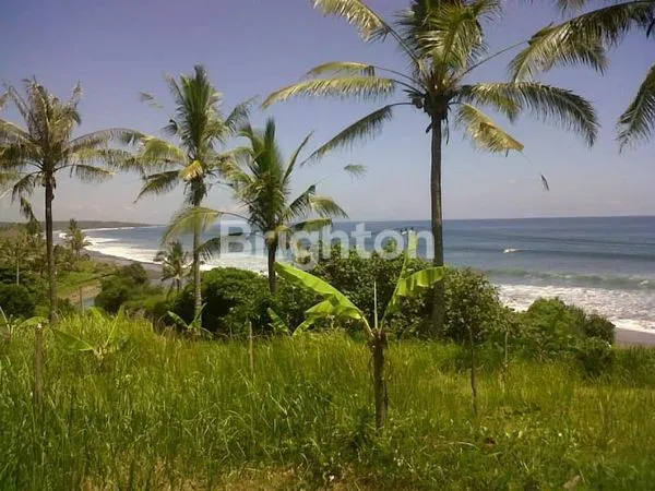 image DIJUAL TANAH STRATEGIS – PANTAI SELABIH, TABANAN (1)