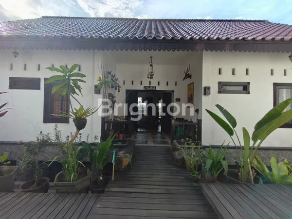 image BALIKPAPAN - RUMAH BERKONSEP COTTAGE, ETNIC & INSTAGRAMABLE  (G098) (5)